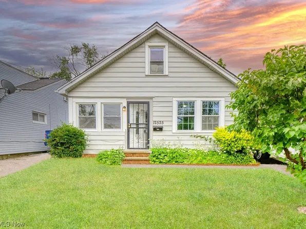 12525 McGowan Ave, Cleveland, OH 44135