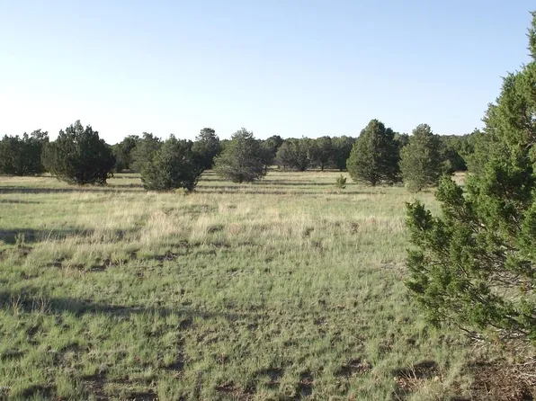 6448 N Cliff Rose, Williams, AZ 86046