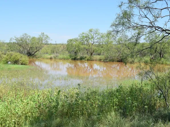 Fm 2131, Coleman, TX 76834