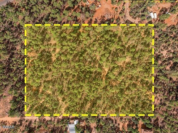 4th image of Pine Needle Dr