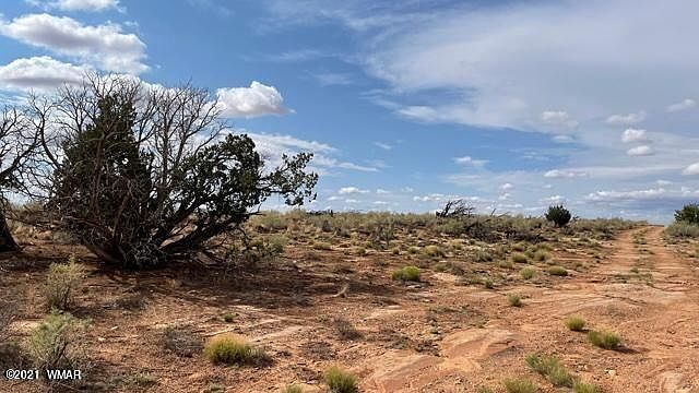 2nd image of Snowflake Ranches Lot 36