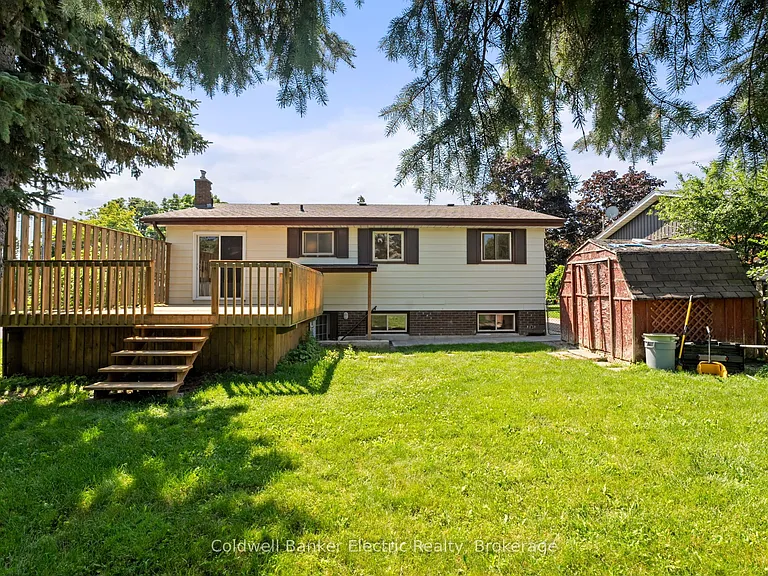 8B Pottinger St — Photo 41