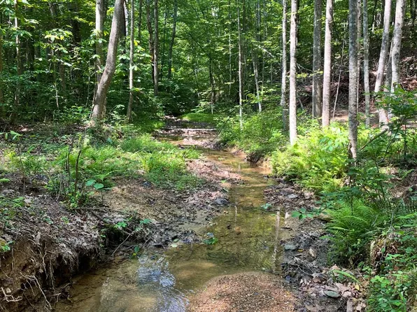 0 Christian Mill Creek Rd, Amherst, VA 24521