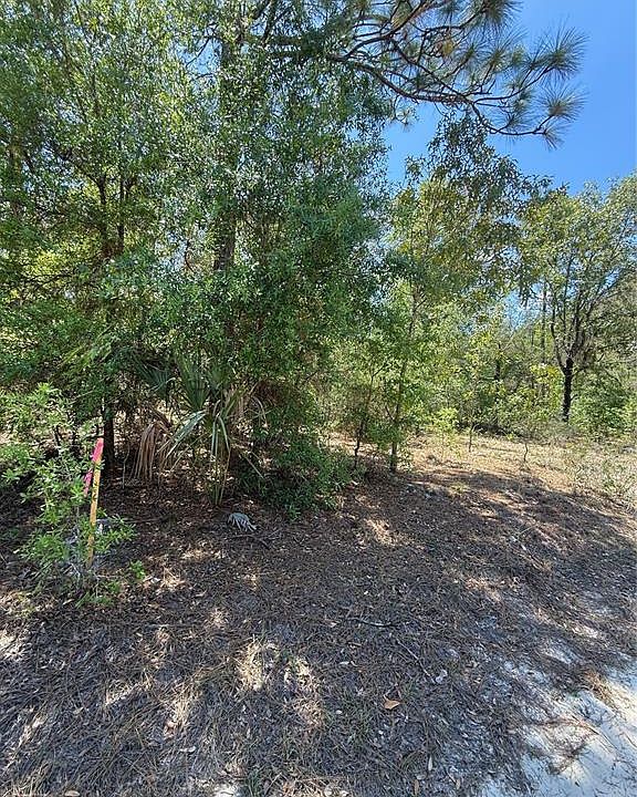 1st image of NE 118th Ln