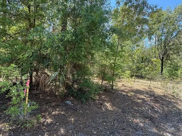 NE 118th Ln, Bronson, FL 32621