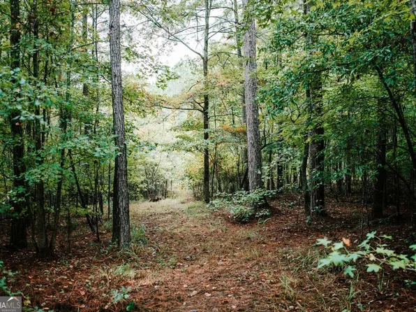 169 Bartram Trace Rd, Crawfordville, GA 30631