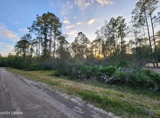 1244 Peach St, Bunnell, FL 32110