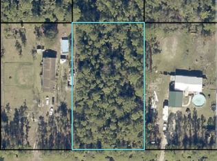 4430 Olga St, Hastings, FL 32145