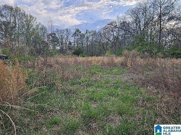 2nd image of 2158 County Road 532 #0