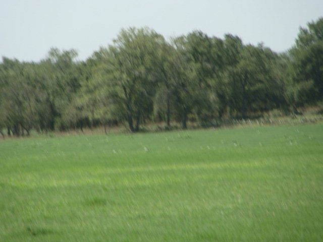 1st image of 743 Lonesome Trl