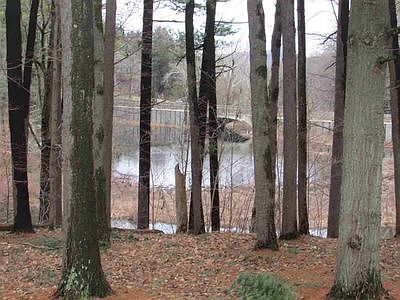 4th image of 12 Circle Dr