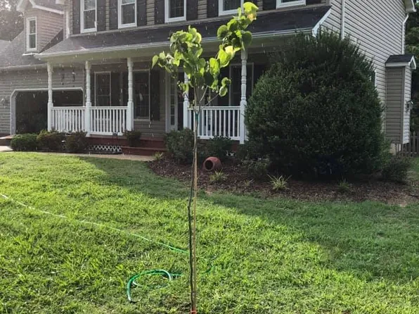 6341 Igo Rd, King George, VA 22485