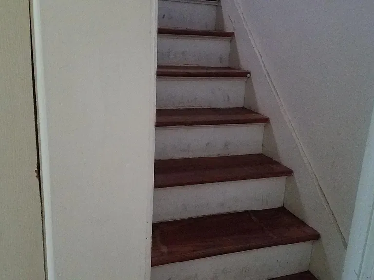 509 N Hagadorn Rd — Photo 14