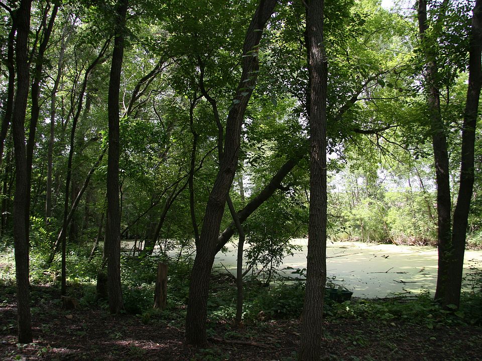 1st image of 10825 Union Lake Trl
