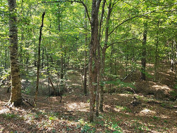 5th image of 1294 Anders Rd
