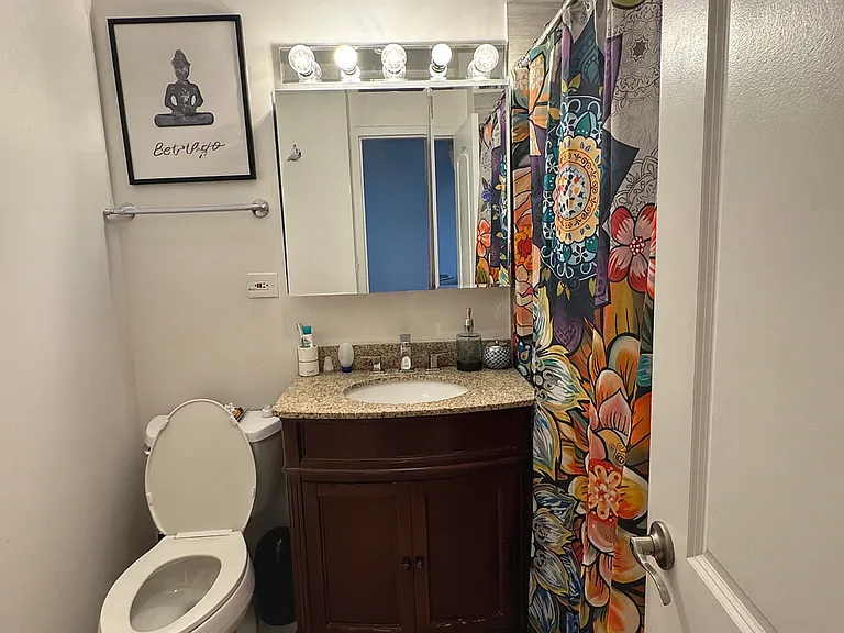 1455 N Sandburg Ter #1207 — Photo 7