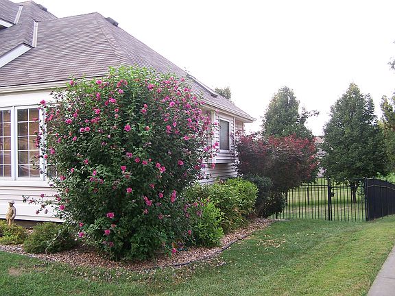 east side
