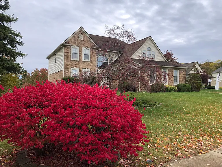 9140 Countrywood Dr — Photo 46