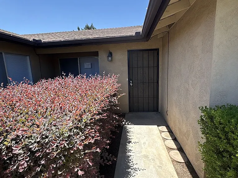 2962 — Photo 3