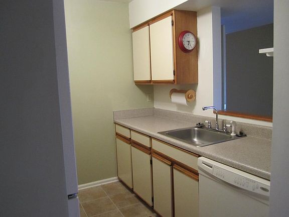 Kitchen open to living area