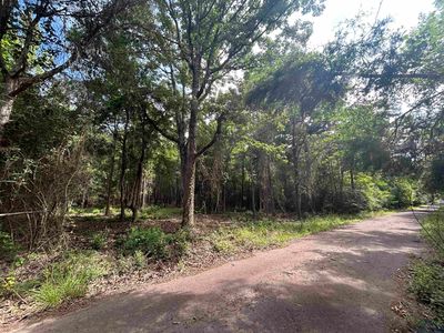 County Road 1570, Linden, TX, 75563