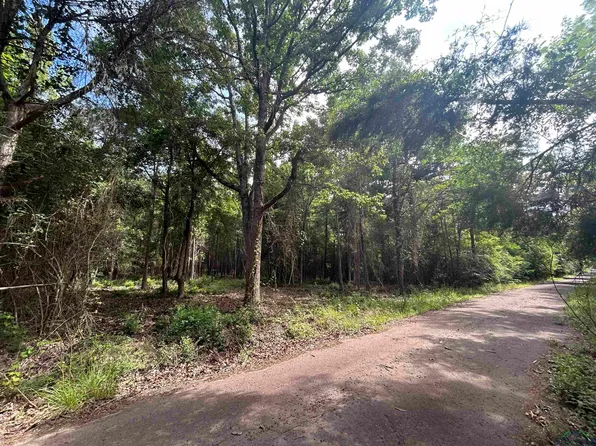 County Road 1570, Linden, TX 75563