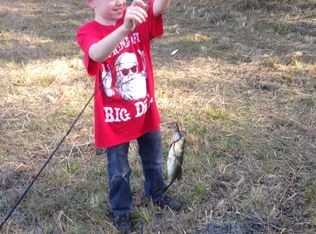 54246 3rd St, Astor, FL 32102