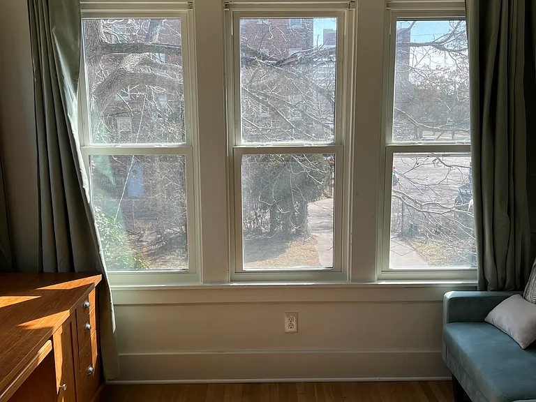 1191 Virginia Park #2C — Photo 5