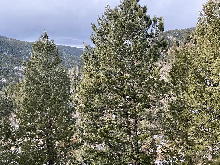Aspen Pl — Photo 29