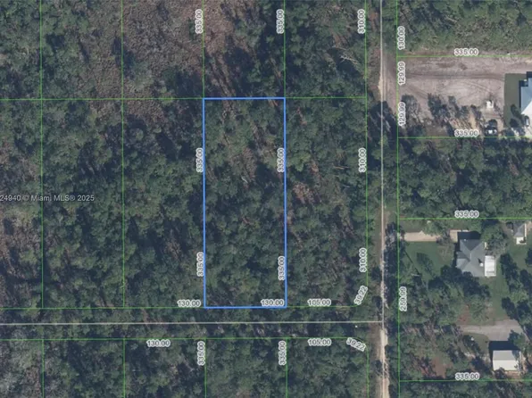 910 Iris Ave, Sebring, FL 33875