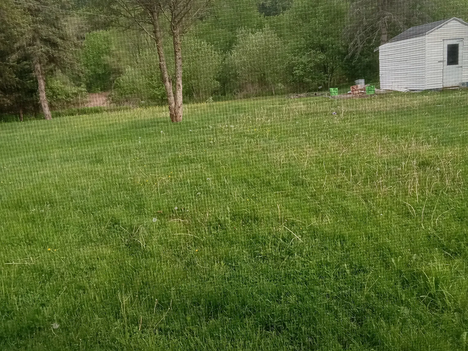 1 bed, 400 sqft, $900 — Photo 2