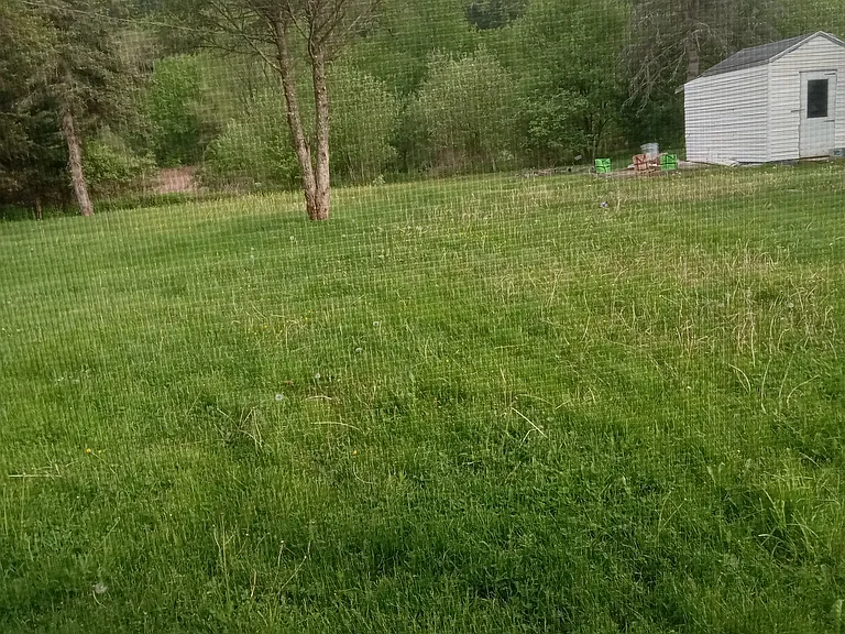 1272 State Route 221 — Photo 3