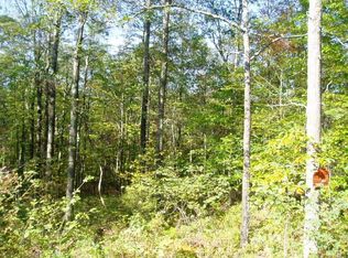 Lenni Lenape Rd, Narrowsburg, NY 12764