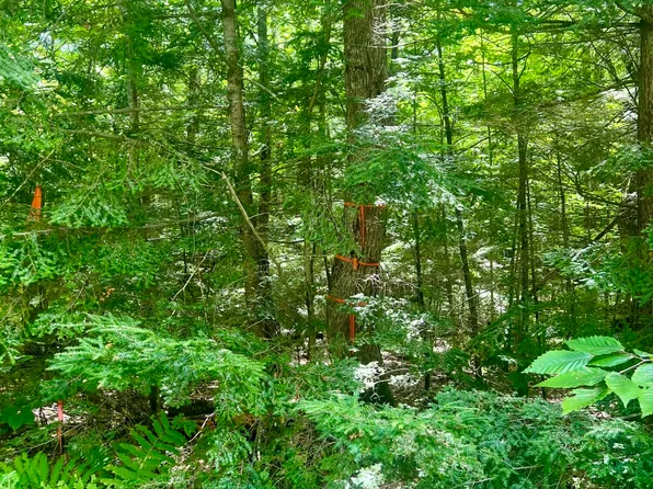 0 Heath Road, Casco, ME 04015