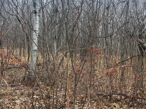 Tbdxx Golf Course Dr, Cushing, MN 56443