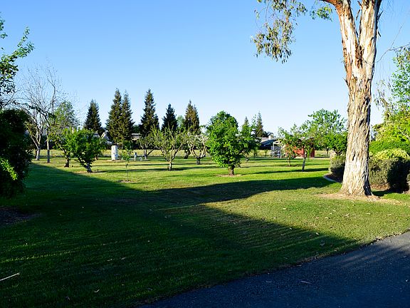Orchard