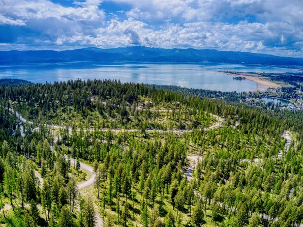 237 Timberjack Trl, Bigfork, MT 59911