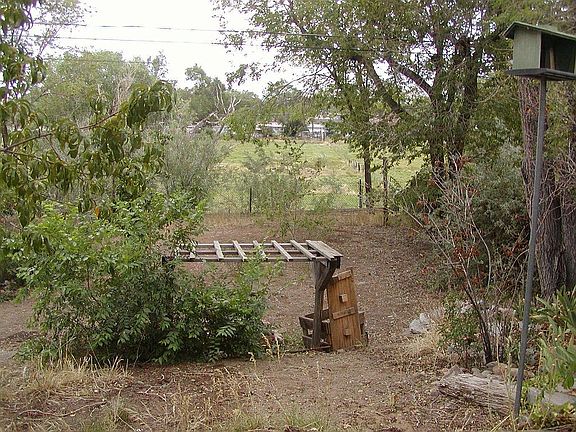 backyard from house