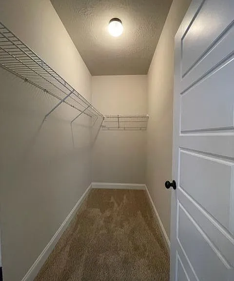 232 Kemper Downs Dr — Photo 15