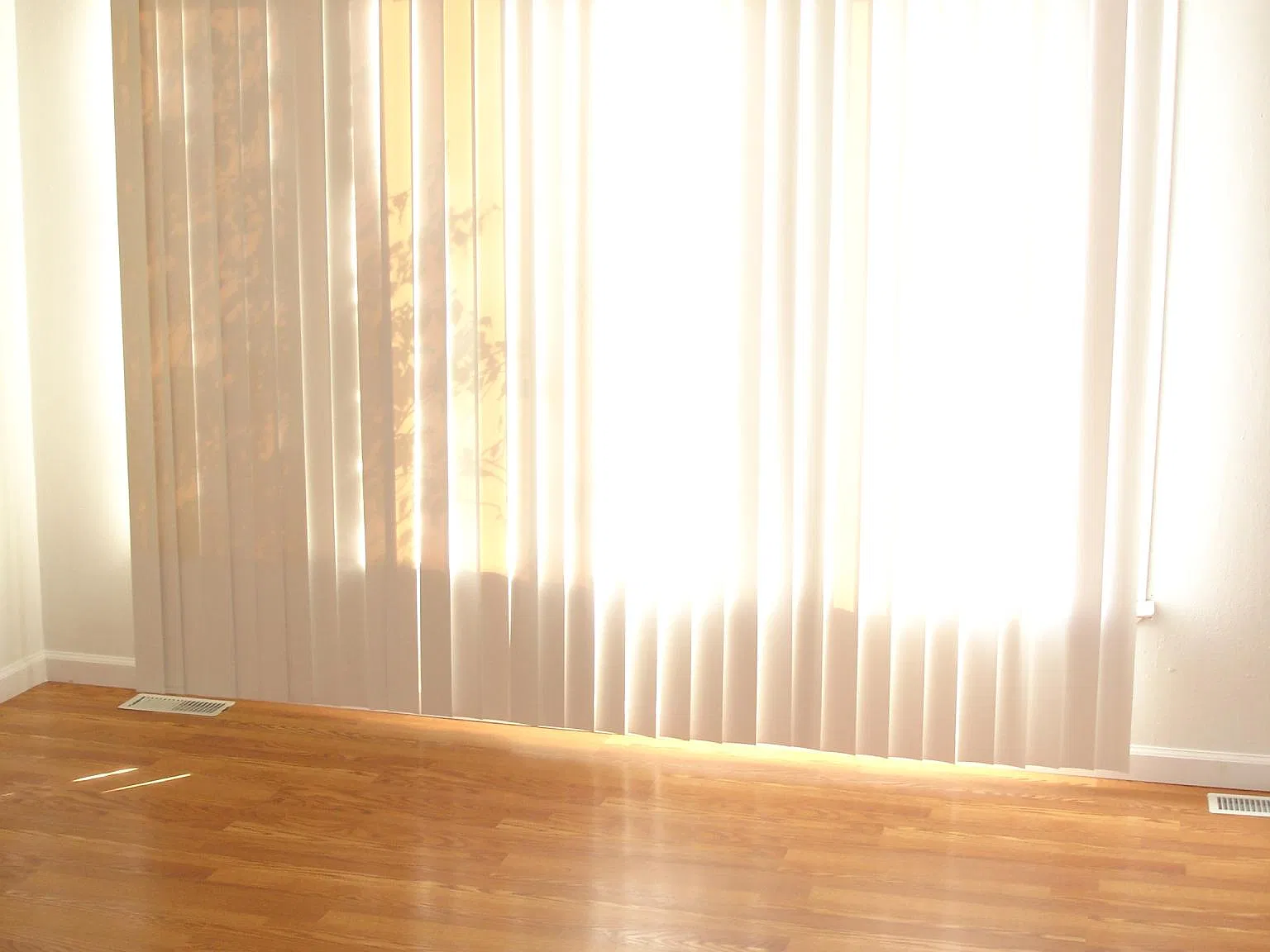 2 bed, 1.5 bath, 1000 sqft, $1,150 — Photo 3