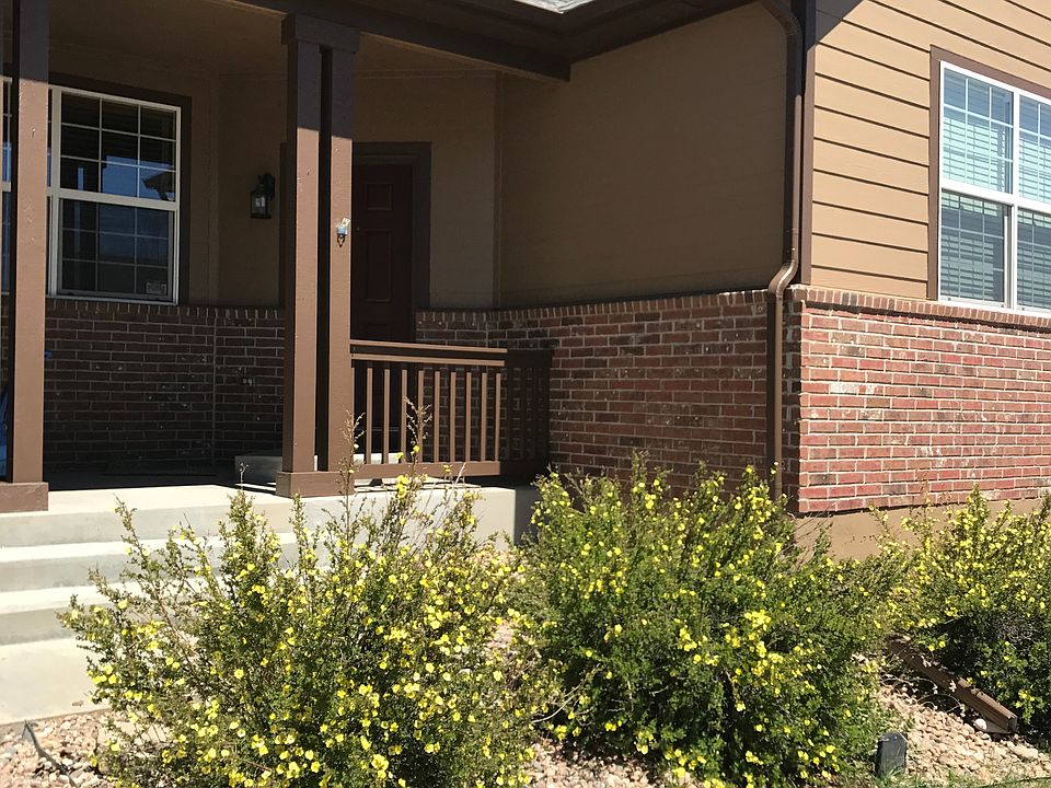 2nd image of 2176 Paint Pony Cir