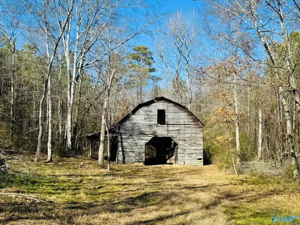 S Sauty Rd, Langston, AL 35755