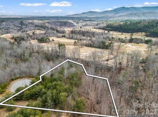 146 Weeburn Cv, Mill Spring, NC 28756