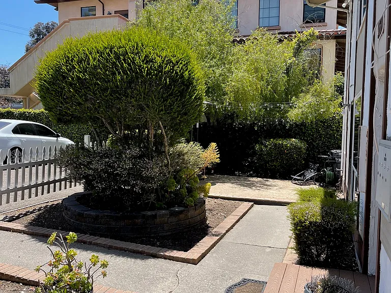 968 Walnut St #D — Photo 10