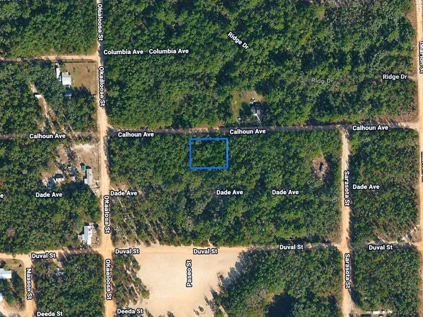 313 CALHOUN Avenue, Florahome, FL 32140