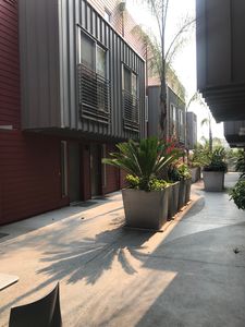 414 40th St APT 205, Oakland, CA, 94609