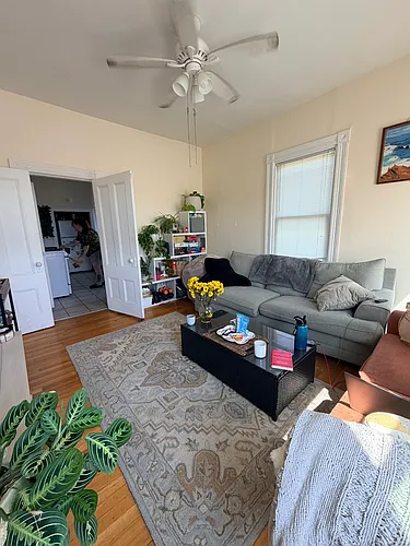 270 Norfolk St #7 Photo 1