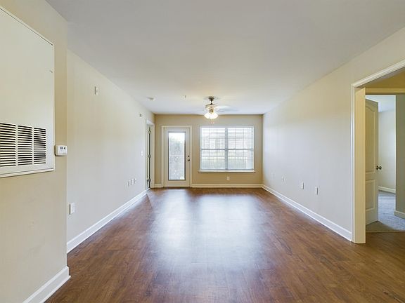 bright windows to make your home sparkle