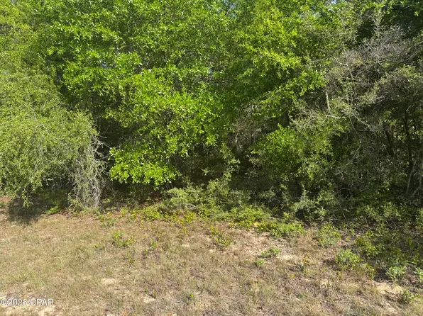 0 Devonshire Dr, Chipley, FL 32428