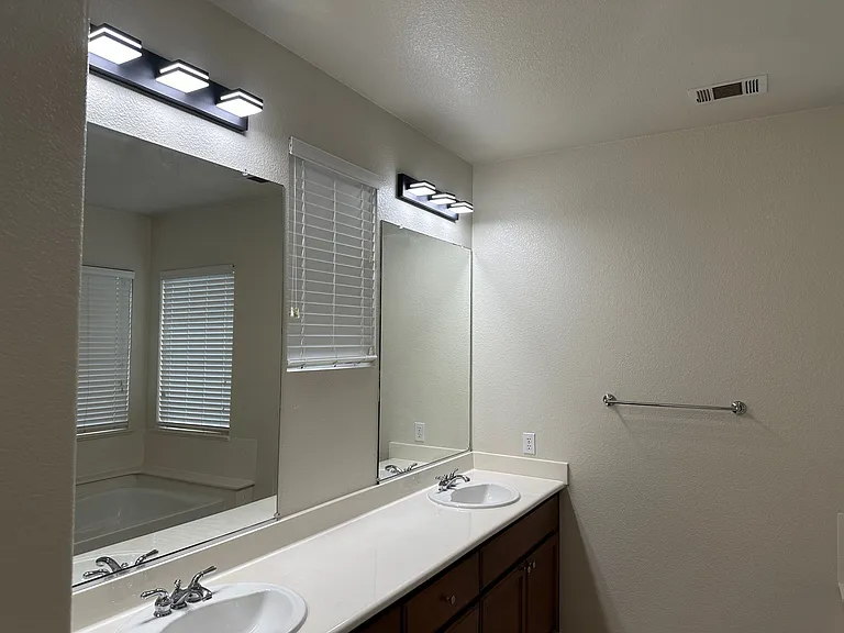 Master bathroom sinks